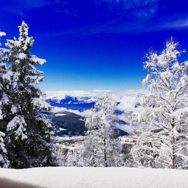 Vvf Les 7 Laux Massif De Belledonne Hotel พราพูเตล ภายนอก รูปภาพ